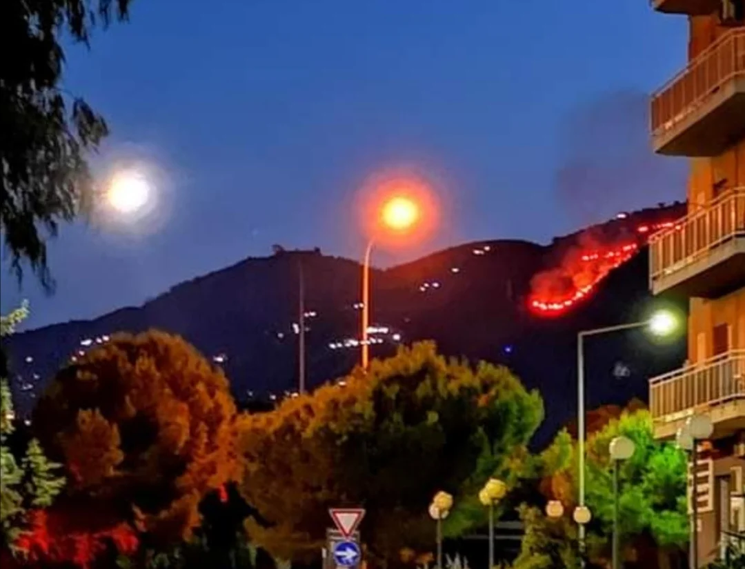 Notte di paura a Monreale, devastato monte Caputo: interviene il Canadair