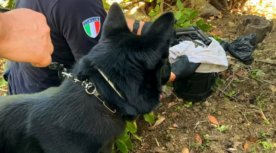 monreale droga e pistola nel giardino arrestato un uomo da Monrealelive.it monreale droga e pistola nel giardino arrestato un uomo